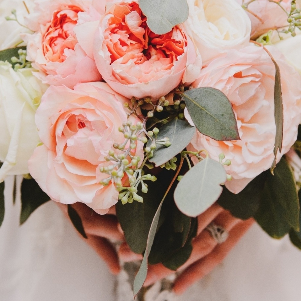 Meet your Posher, Lena